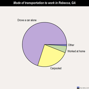 Rebecca mode of transportation to work chart