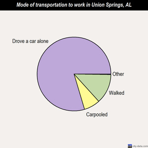 Union Springs mode of transportation to work chart