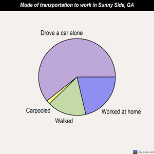 Sunny Side mode of transportation to work chart