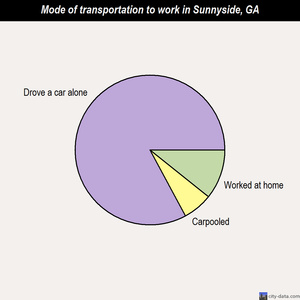 Sunnyside mode of transportation to work chart