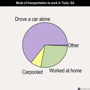 Turin mode of transportation to work chart