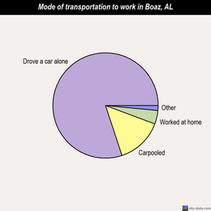 Boaz mode of transportation to work chart