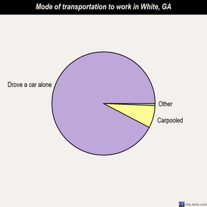 White mode of transportation to work chart