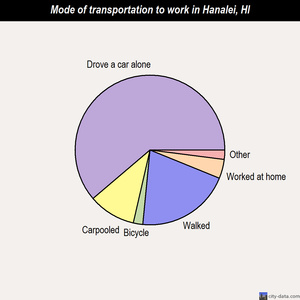 Hanalei mode of transportation to work chart