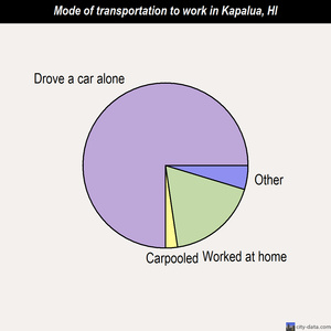 Kapalua mode of transportation to work chart