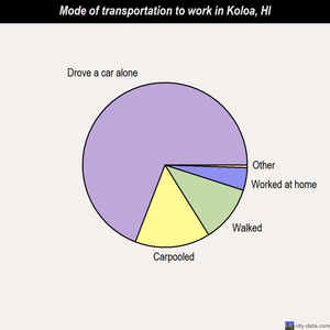 Koloa mode of transportation to work chart