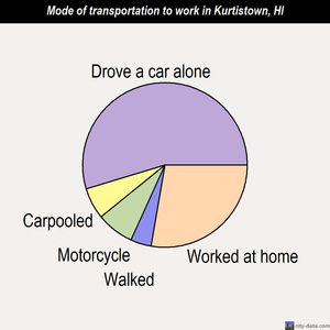 Kurtistown mode of transportation to work chart