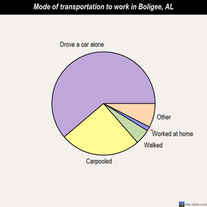 Boligee mode of transportation to work chart
