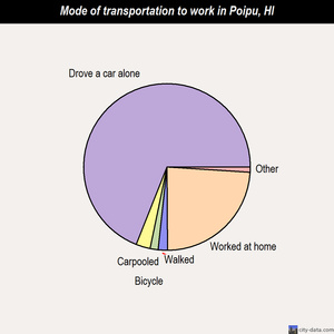Poipu mode of transportation to work chart