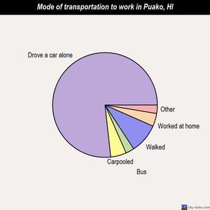 Puako mode of transportation to work chart