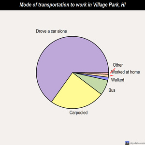 Village Park mode of transportation to work chart