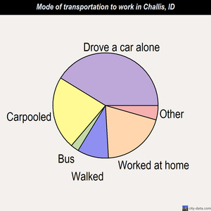 Challis mode of transportation to work chart