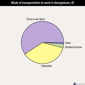 Georgetown mode of transportation to work chart