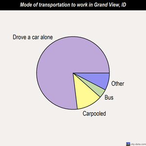 Grand View mode of transportation to work chart