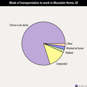 Mountain Home mode of transportation to work chart