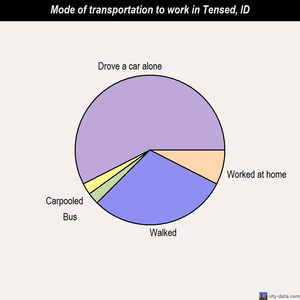 Tensed mode of transportation to work chart