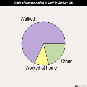 Ambler mode of transportation to work chart