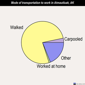Atmautluak mode of transportation to work chart