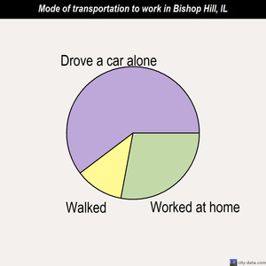 Bishop Hill mode of transportation to work chart