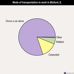 Bluford mode of transportation to work chart