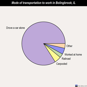 Bolingbrook mode of transportation to work chart