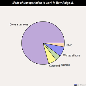 Burr Ridge mode of transportation to work chart