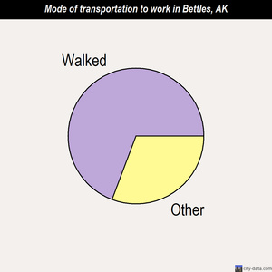 Bettles mode of transportation to work chart