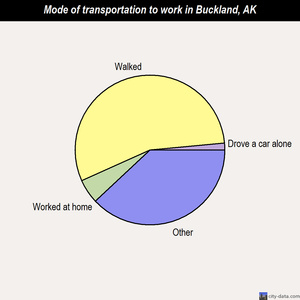 Buckland mode of transportation to work chart