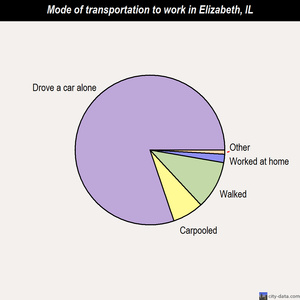 Elizabeth mode of transportation to work chart