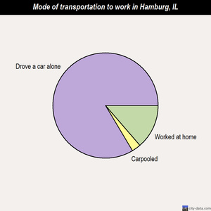 Hamburg mode of transportation to work chart