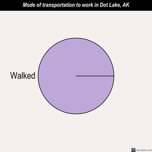 Dot Lake mode of transportation to work chart