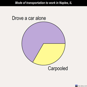 Naples mode of transportation to work chart