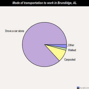 Brundidge mode of transportation to work chart