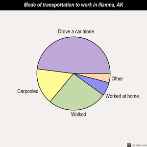 Iliamna mode of transportation to work chart
