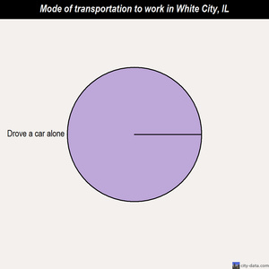 White City mode of transportation to work chart