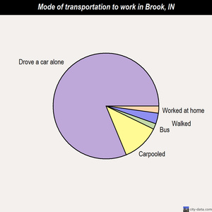 Brook mode of transportation to work chart