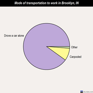 Brooklyn mode of transportation to work chart