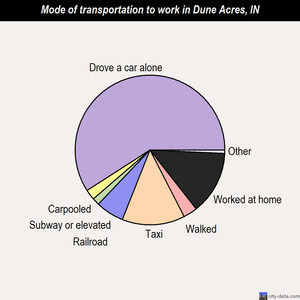 Dune Acres mode of transportation to work chart
