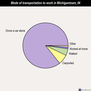 Michigantown mode of transportation to work chart