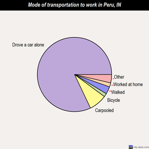 Peru mode of transportation to work chart