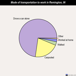 Remington mode of transportation to work chart