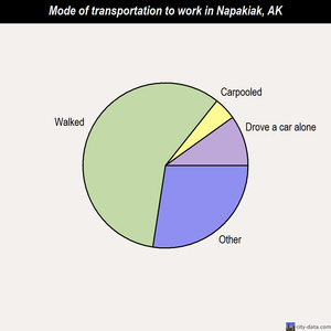 Napakiak mode of transportation to work chart