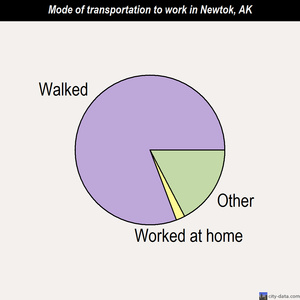 Newtok mode of transportation to work chart