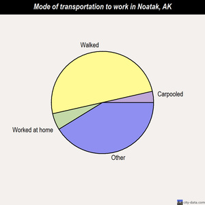 Noatak mode of transportation to work chart