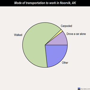 Noorvik mode of transportation to work chart