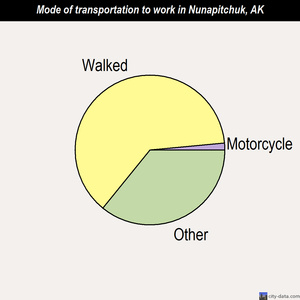 Nunapitchuk mode of transportation to work chart