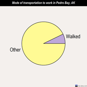 Pedro Bay mode of transportation to work chart