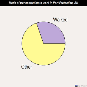 Port Protection mode of transportation to work chart