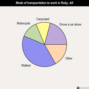 Ruby mode of transportation to work chart
