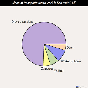 Salamatof mode of transportation to work chart